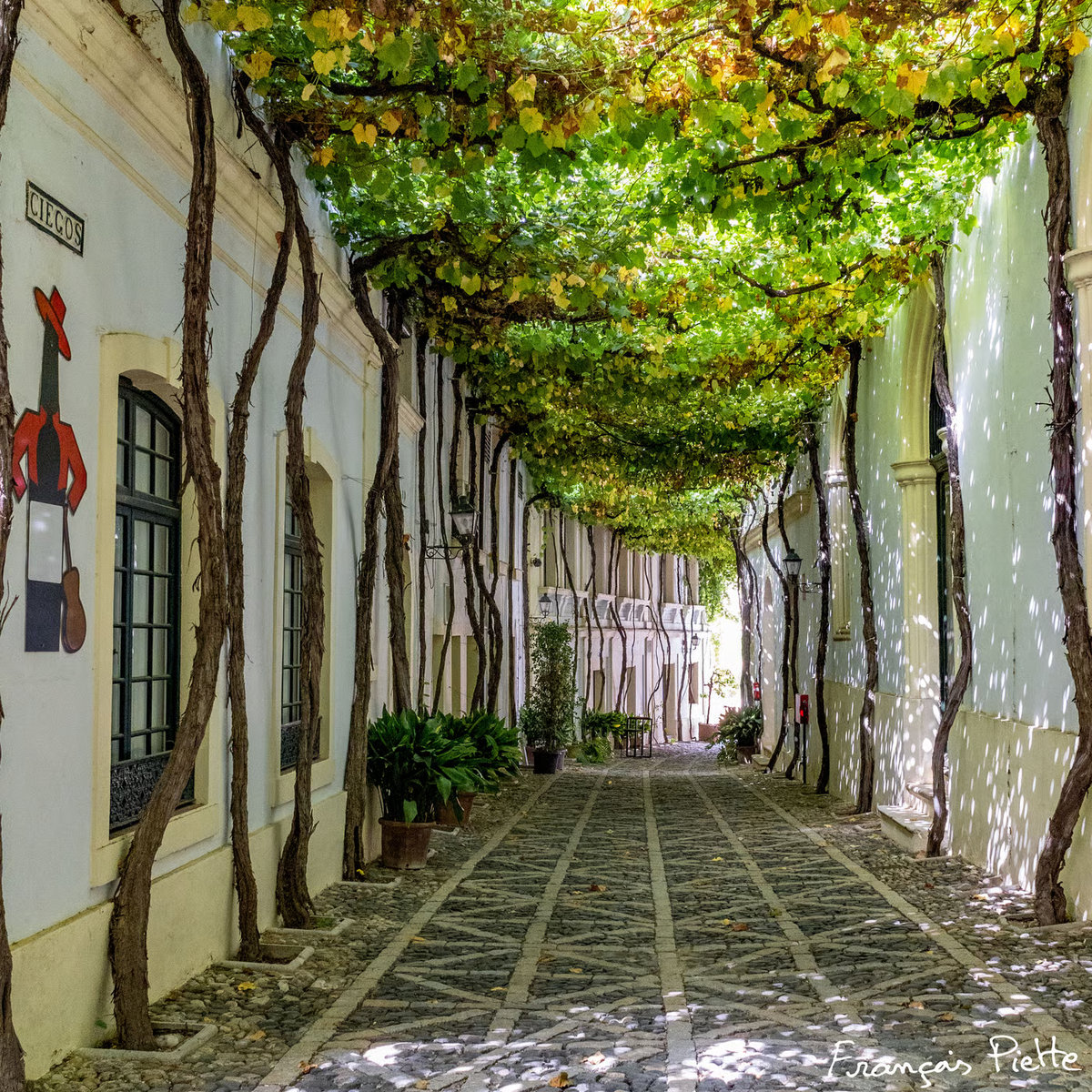 Patio de las Bodegas González-Byass en Jerez